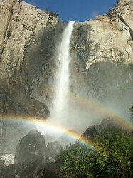 a nice pic!