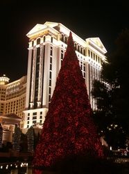 a nice pic!