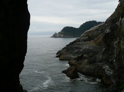 a nice pic!